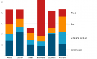 Shifting Food Systems is a Team Sport
